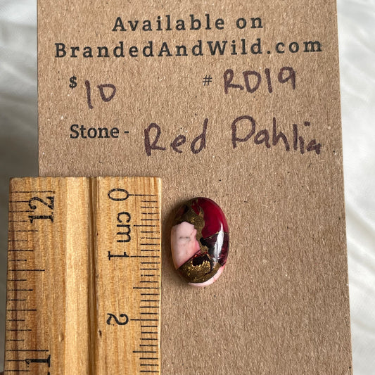 Red Dahlia Cabochon - RD19 36BE7402-E789-43CA-95B7-6AE8A5A4BAB4 Brandedandwild.com