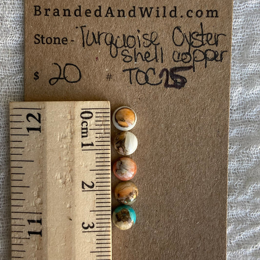 Turquoise, Oystershell, Copper Cabochon - TOC25