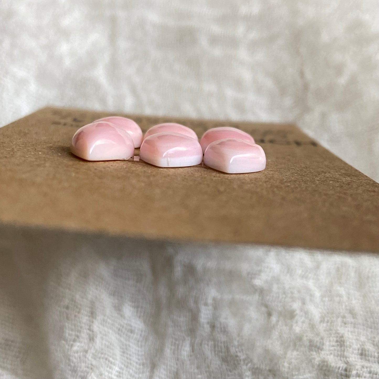 Pink Conch Cabochon - PC35 36EF03F8-AD7F-4A42-8438-43942268C6F6 Brandedandwild.com