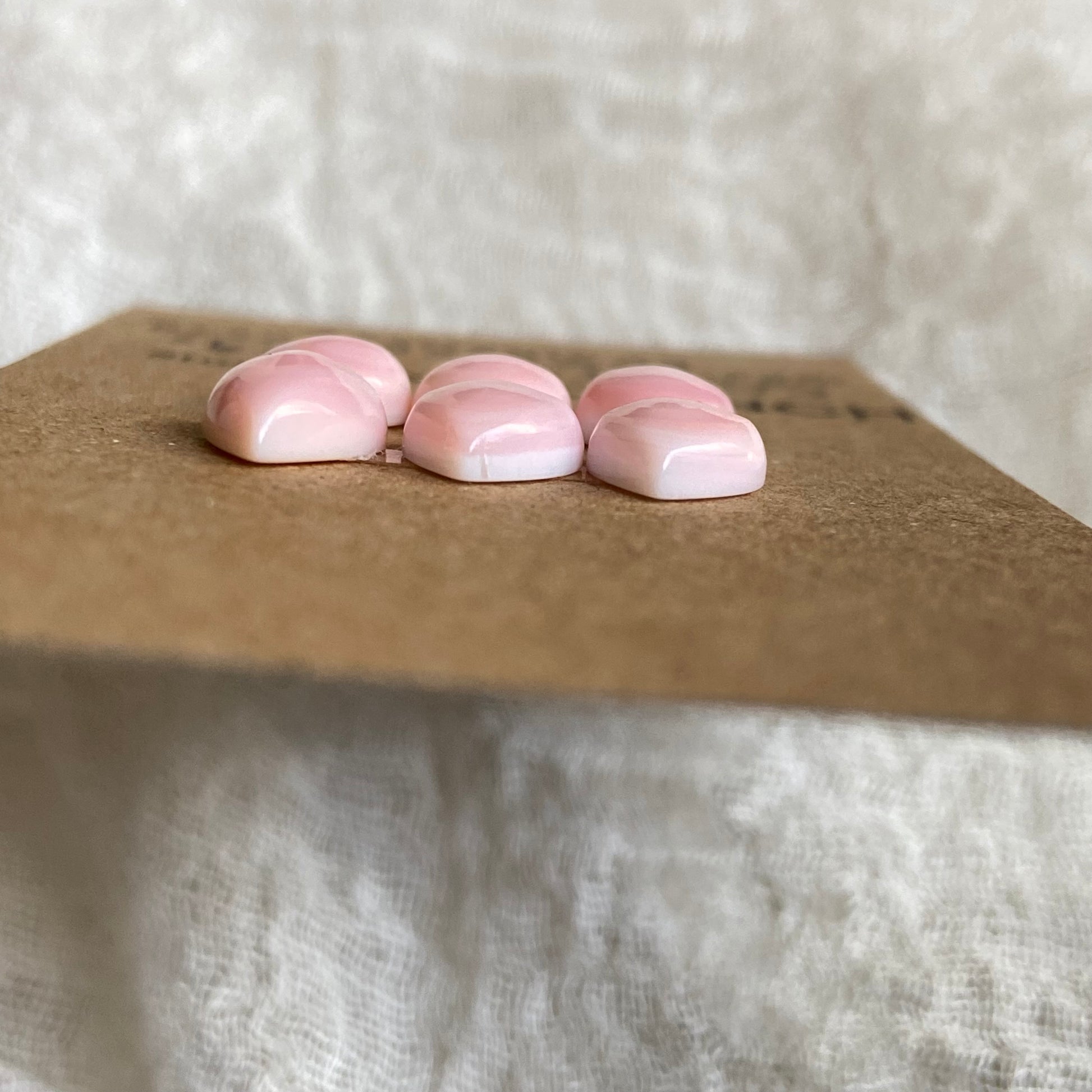 Pink Conch Cabochon - PC35 36EF03F8-AD7F-4A42-8438-43942268C6F6 Brandedandwild.com