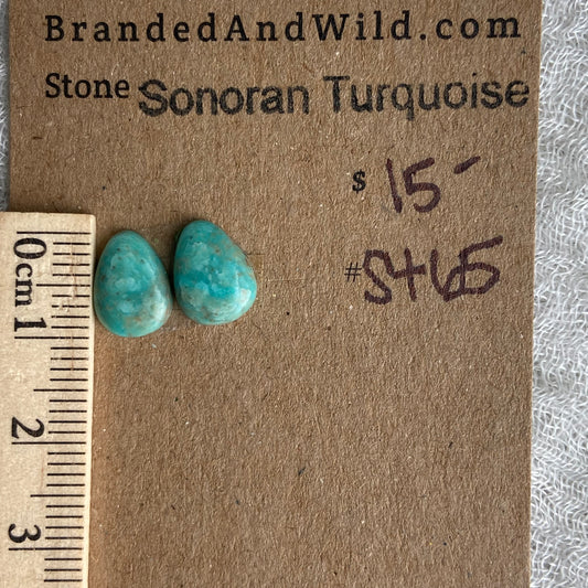 Sonoran Turquoise Cabochon - ST65