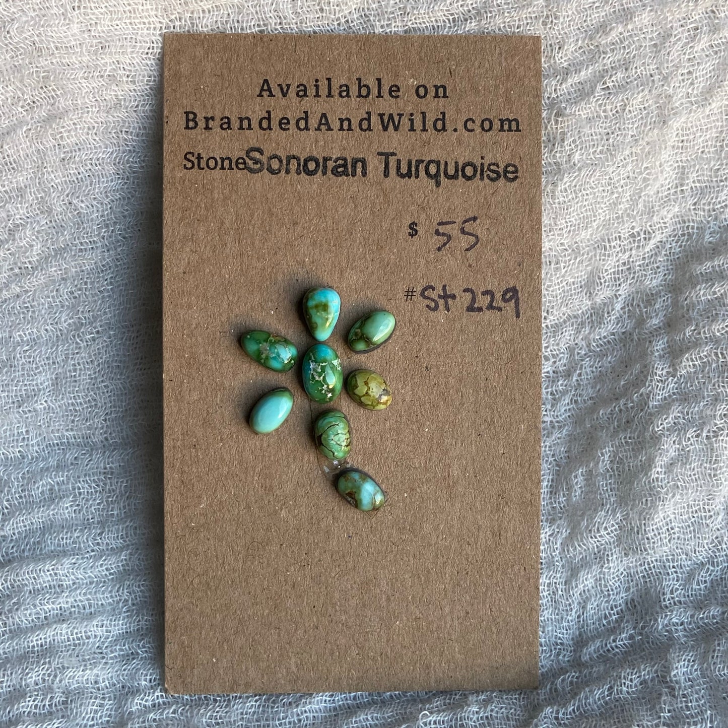 Sonoran Turquoise Cabochon - ST229