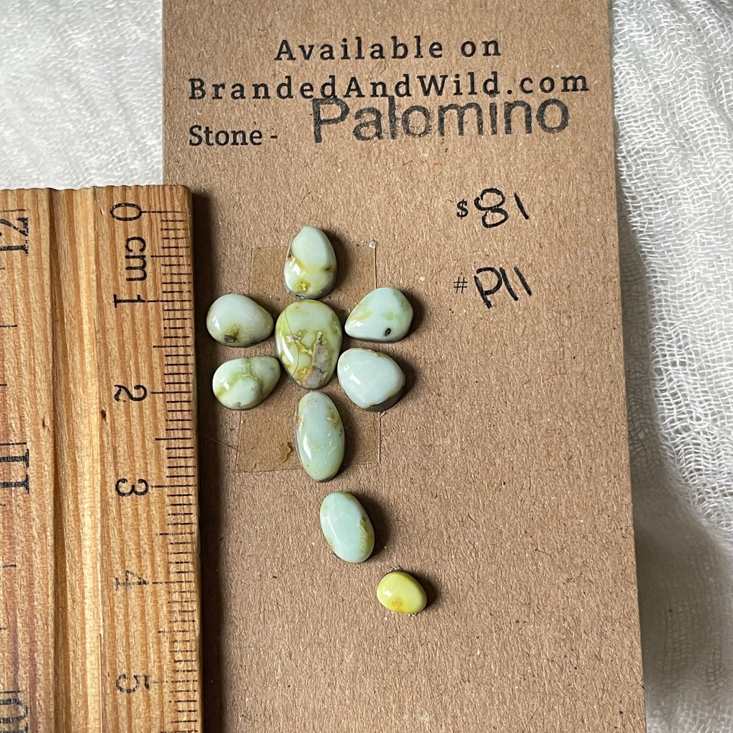 Palomino Cabochon - P11 3729A3DD-C078-42FD-8650-82533C505B8A Brandedandwild.com