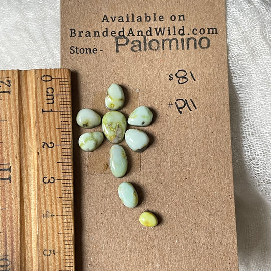 Palomino Cabochon - P11 3729A3DD-C078-42FD-8650-82533C505B8A Brandedandwild.com