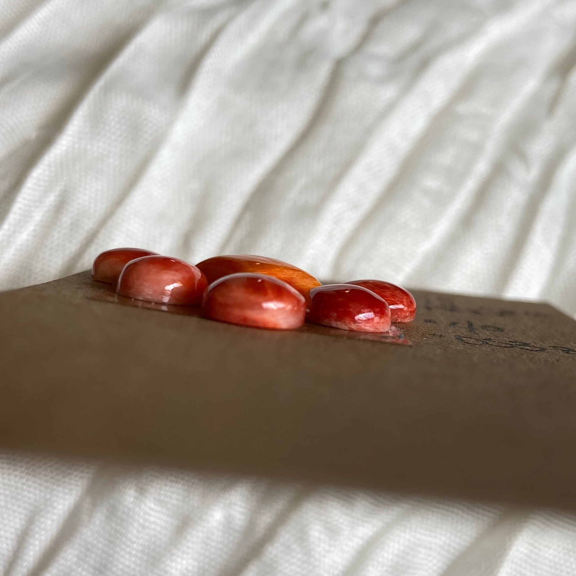 Oystershell Cabochon - OS38 3742871E-7BFF-4B85-9A2B-F776667FC072 Brandedandwild.com
