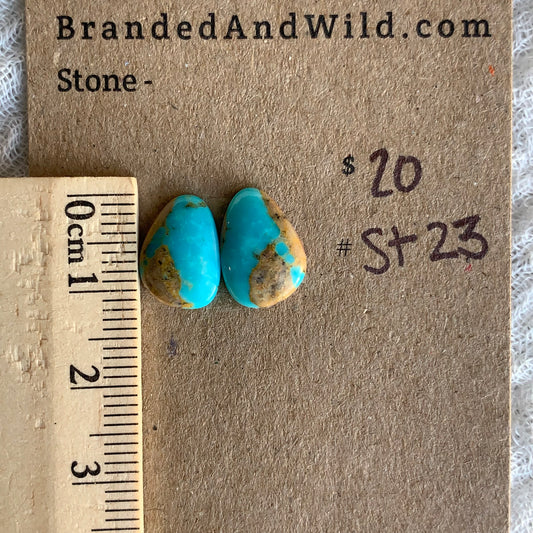 Sonoran Turquoise Cabochon - ST23