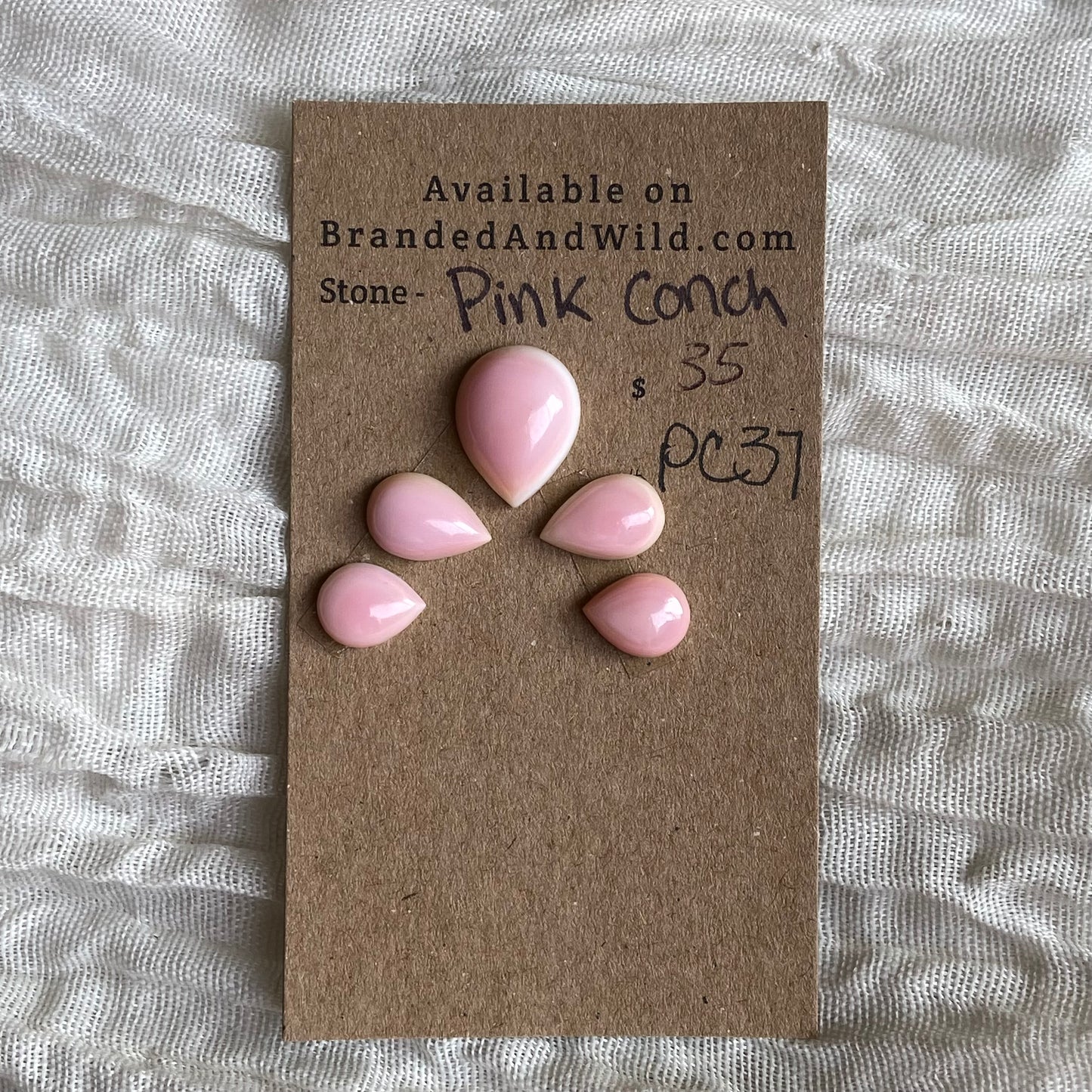 Pink Conch Cabochon - PC37 37646479-FD7D-498D-BA70-9DDF4672B68C Brandedandwild.com