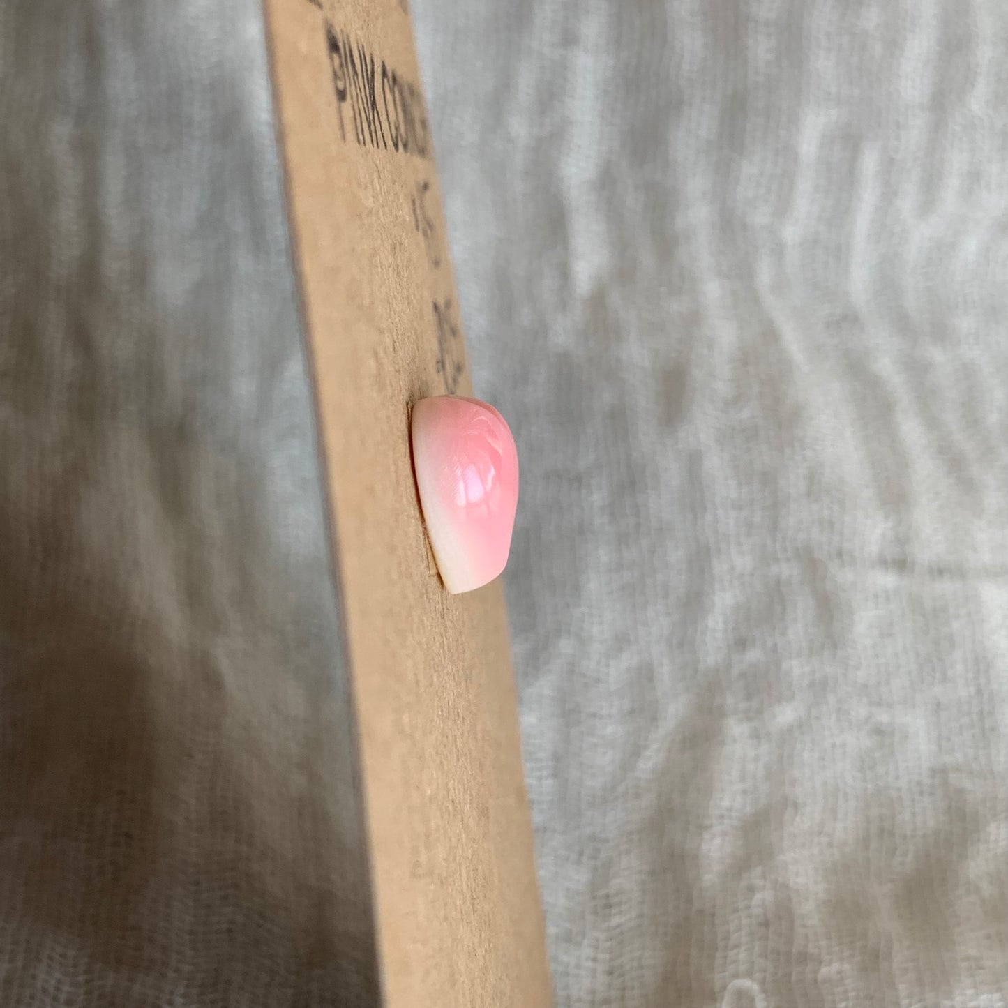 Pink Conch Cabochon - PC03