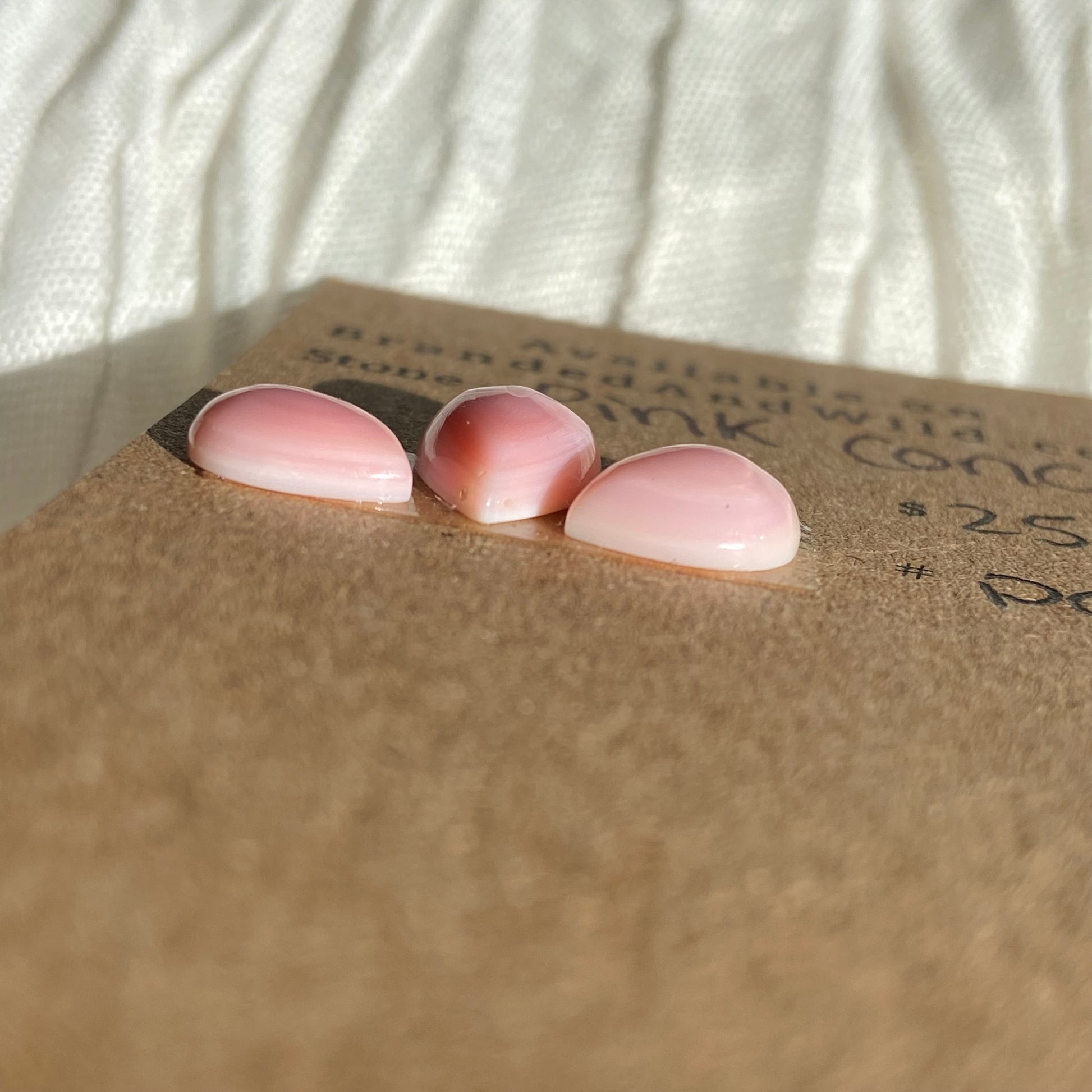 Pink Conch Cabochon - PC24 3786CA4F-C71E-4EE6-B263-C1385F585853 Brandedandwild.com