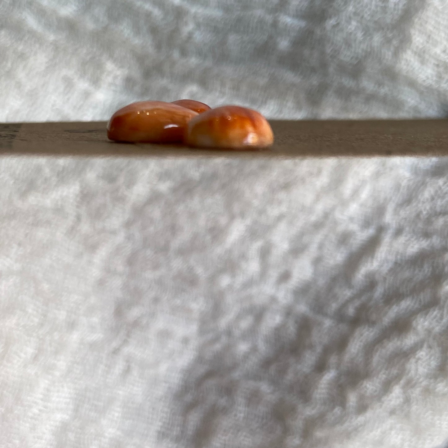 Oyster Shell Cabochon - OS61