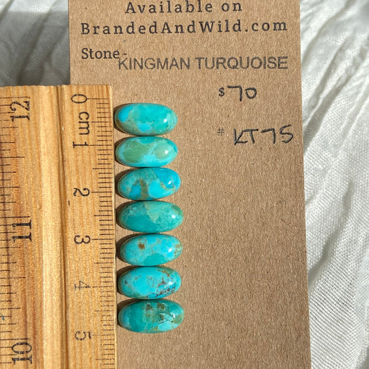 Kingman Turquoise Cabochon - KT75 37C966C4-7FF4-48BA-897A-1BDA4EDE976D Brandedandwild.com