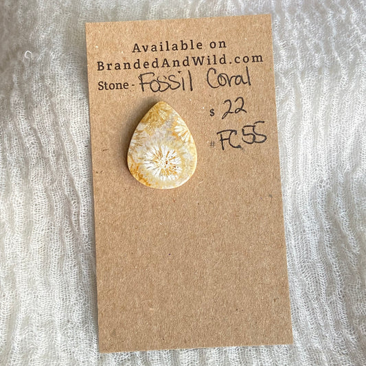 Fossil Coral Cabochon - FC55