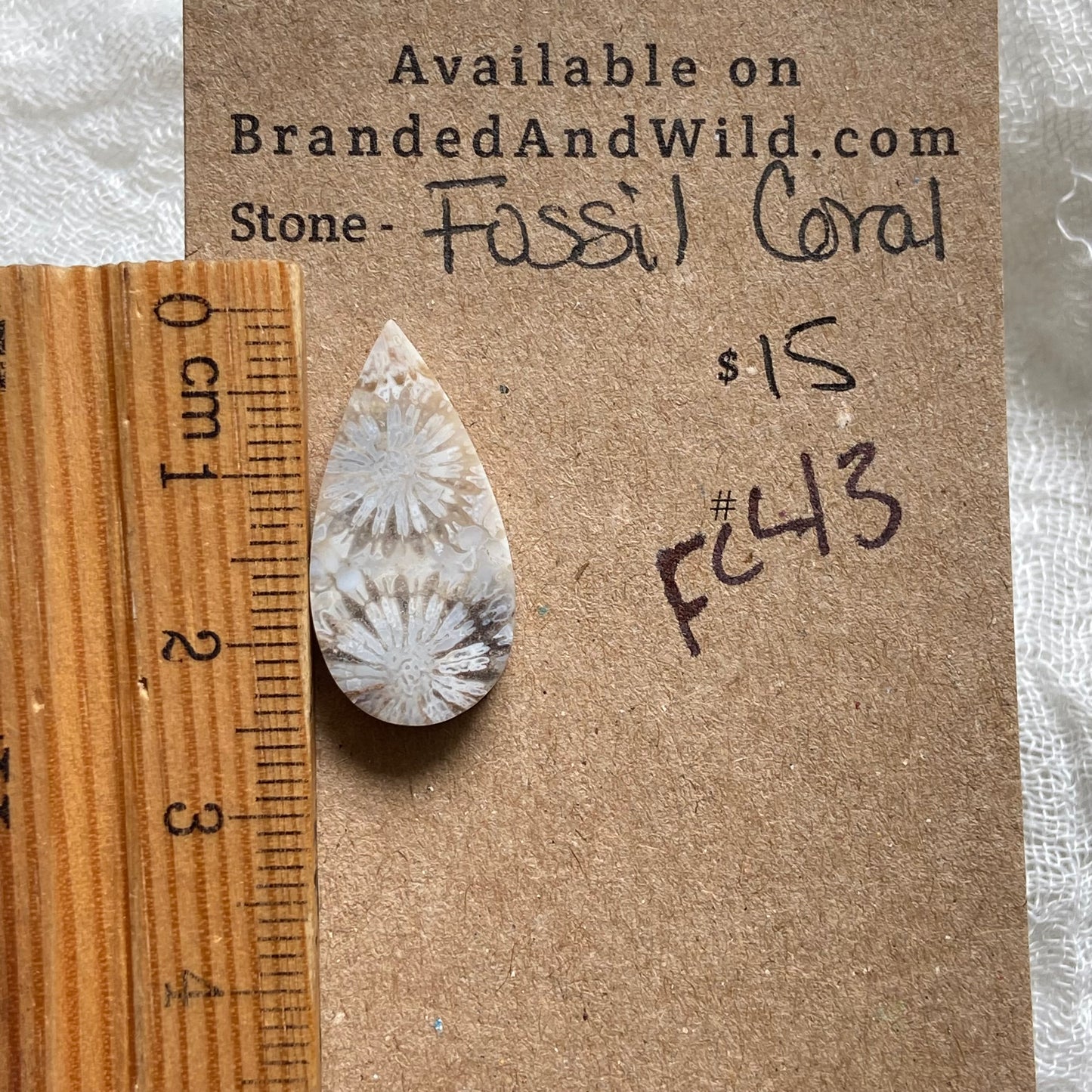 Fossil Coral Cabochon - FC43