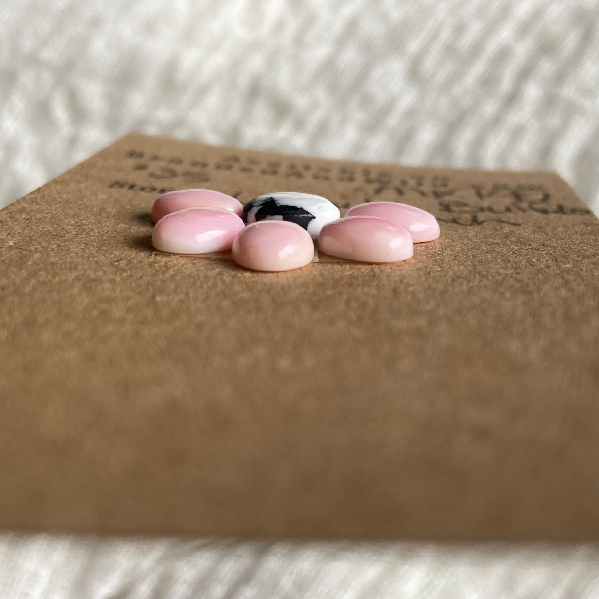 Pink Conch / White Buffalo Cabochon - MIX147 37EF5659-2A6C-42A3-A58F-25C3BF4068D1 Brandedandwild.com
