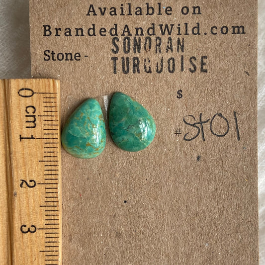 Sonoran Turquoise Cabochon - ST01