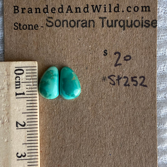 Sonoran Turquoise Cabochon - ST252