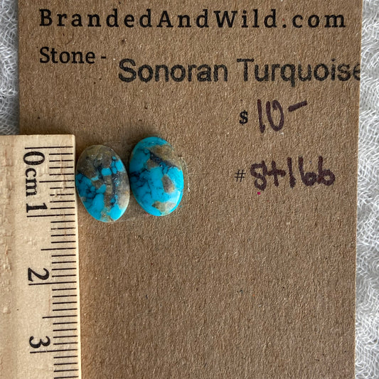 Sonoran Turquoise Cabochon - ST166