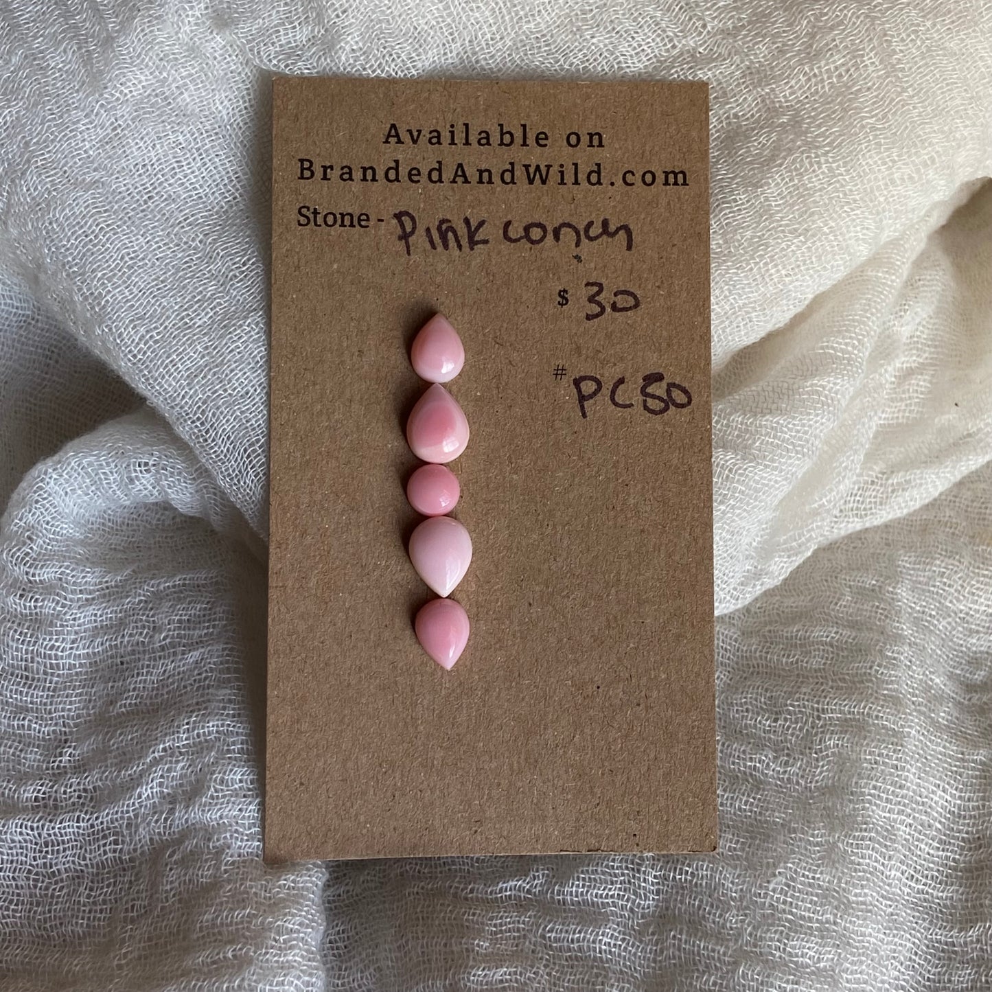 Pink Conch Cabochon - PC50