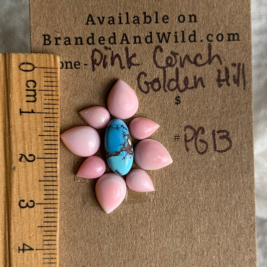 Pink Conch/Golden Hill Cabochon - PG13