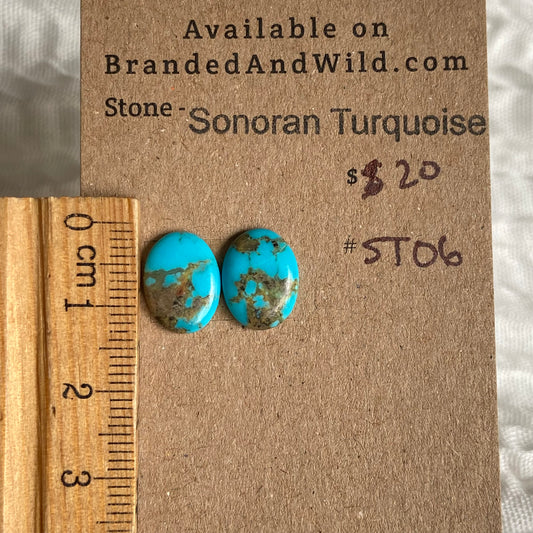 Sonoran Turquoise Cabochon - ST06 38787F9B-9D38-4A34-8F6D-E883AC41BE8E Brandedandwild.com
