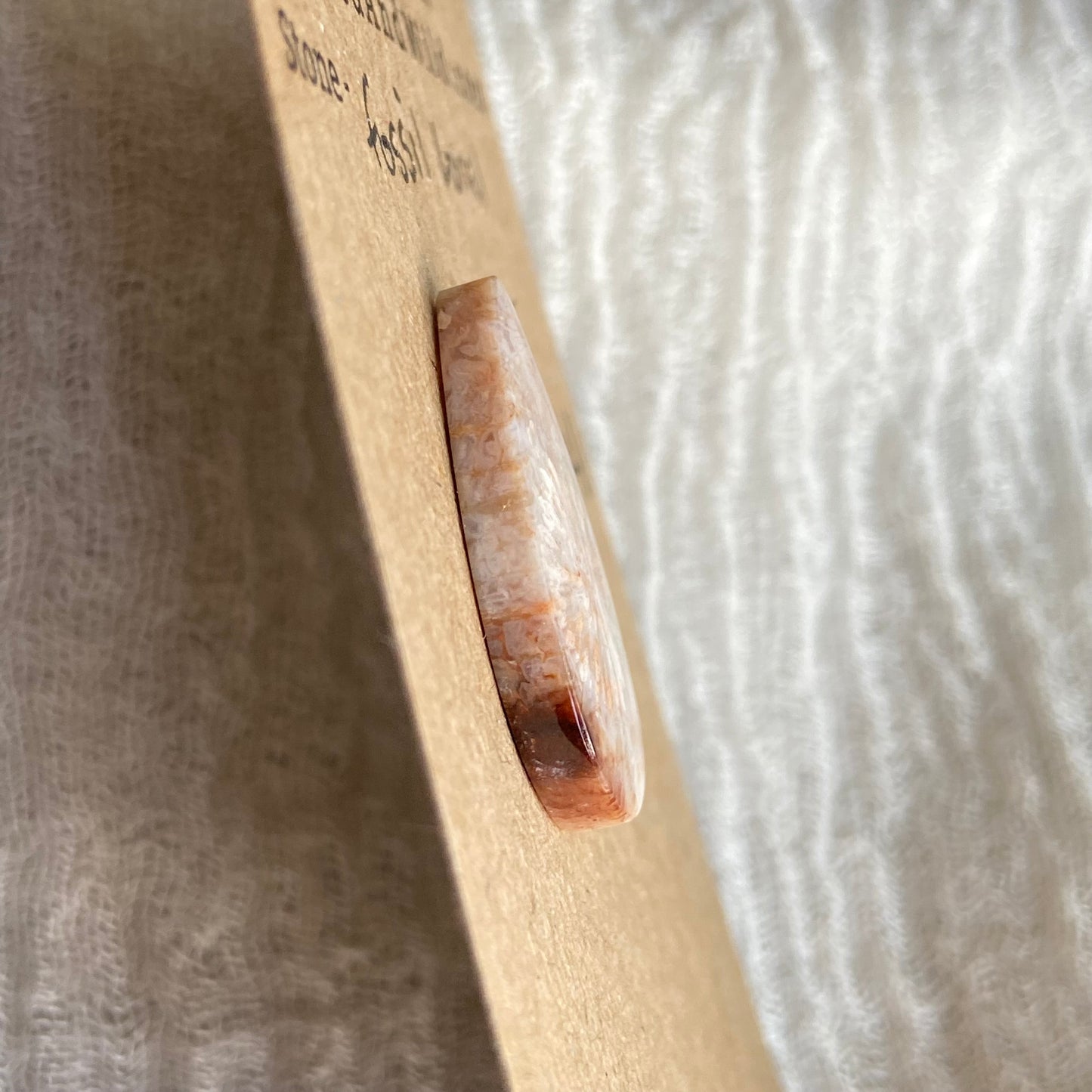 Fossil Coral Cabochon - FC41
