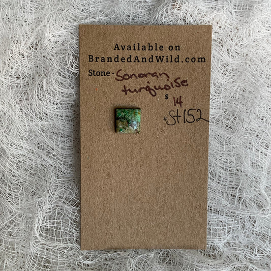 Sonoran Turquoise Cabochon - ST152