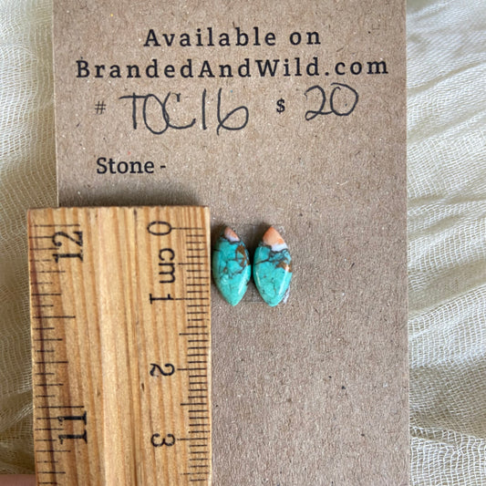 Turquoise, Oyster Shell, Copper Cabochon - TOC16 38B19040-022D-4398-9DFD-E72E04CA6C03 Brandedandwild.com