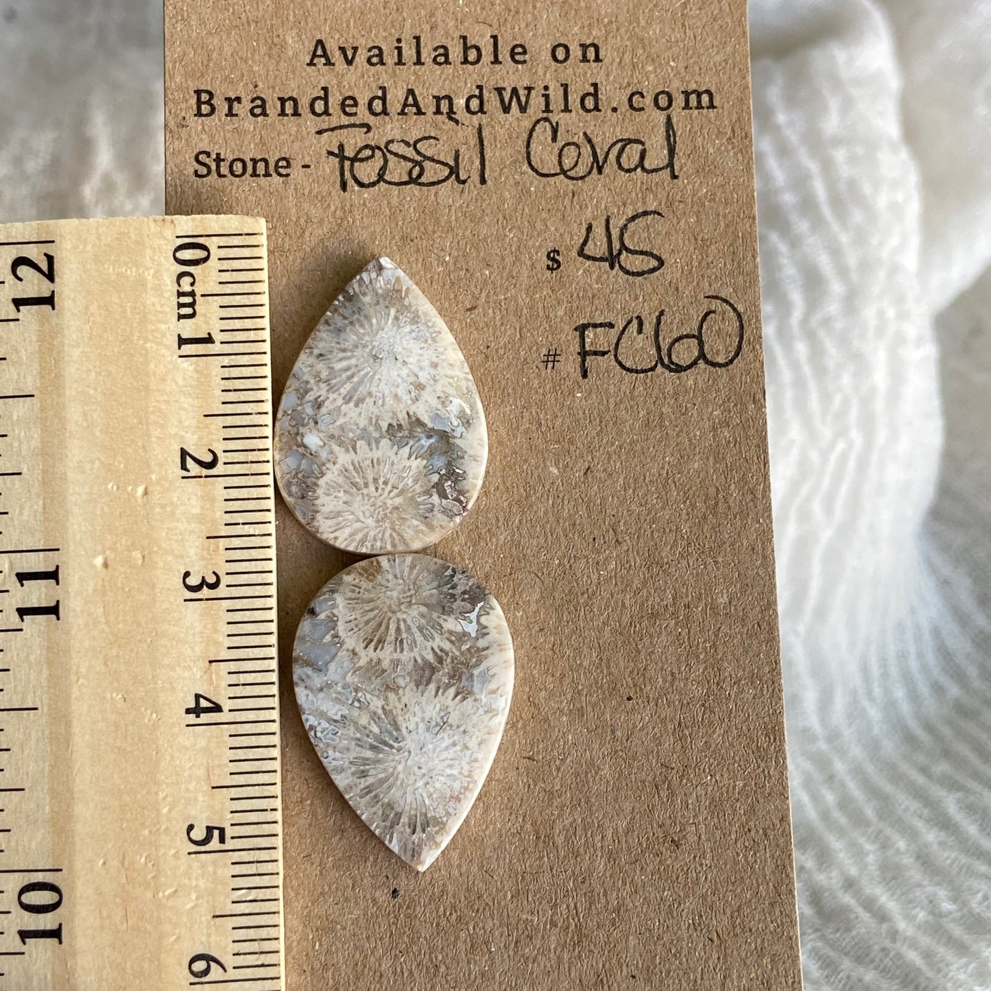 Fossil Coral Cabochon - FC60