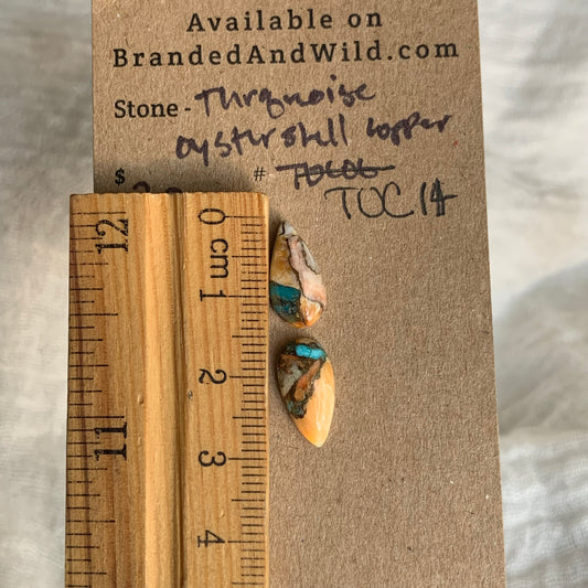 Turquoise, Oystershell, Copper Cabochon - TOC14