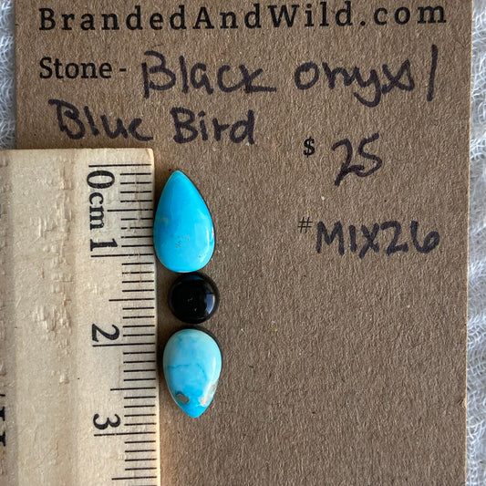 Blue Bird - Black Onyx Cabochon - MIX26