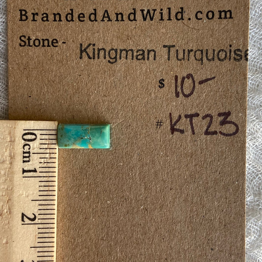 Kingman Turquoise Cabochon - KT23
