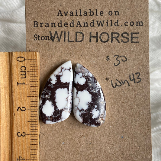 Wild Horse Cabochon - WH43 38DAD51D-5EC6-4E54-9292-14B99228EA2D Brandedandwild.com