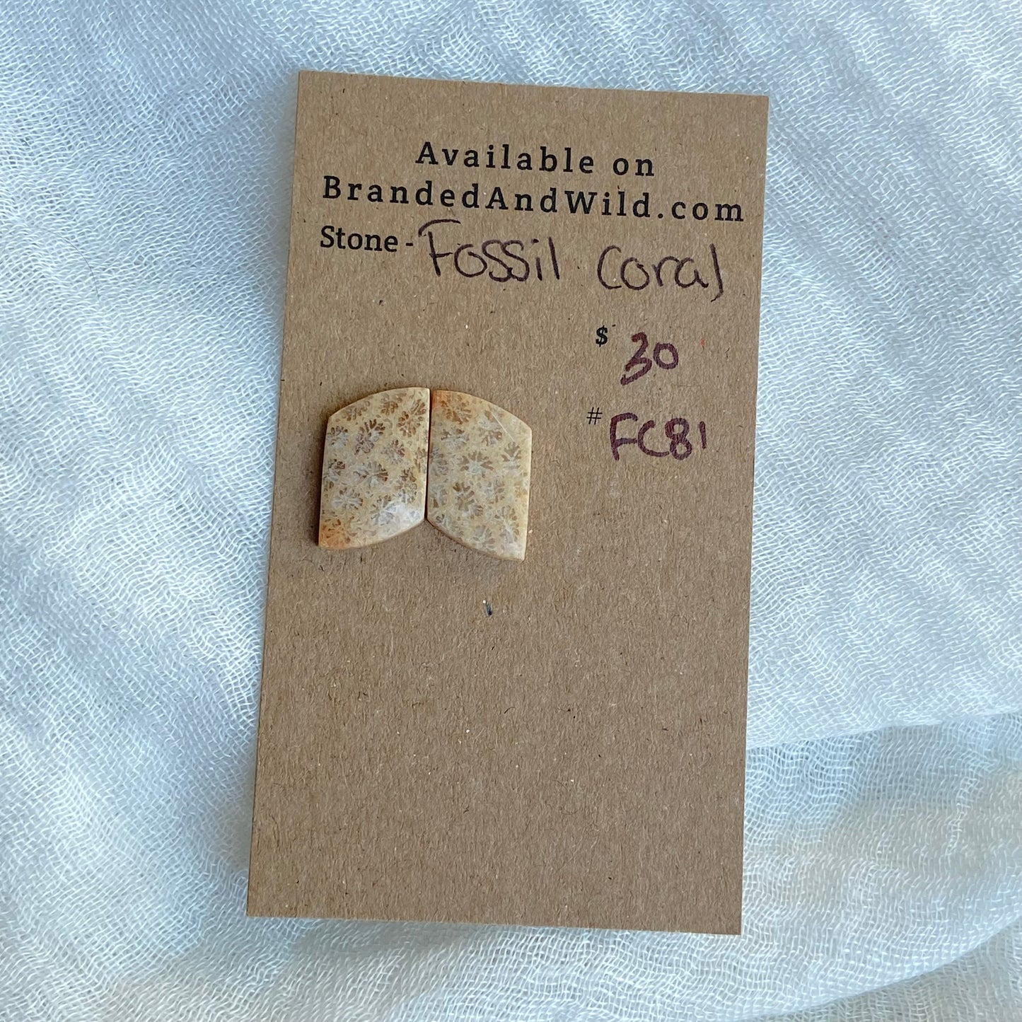 Fossil Coral Cabochon - FC81