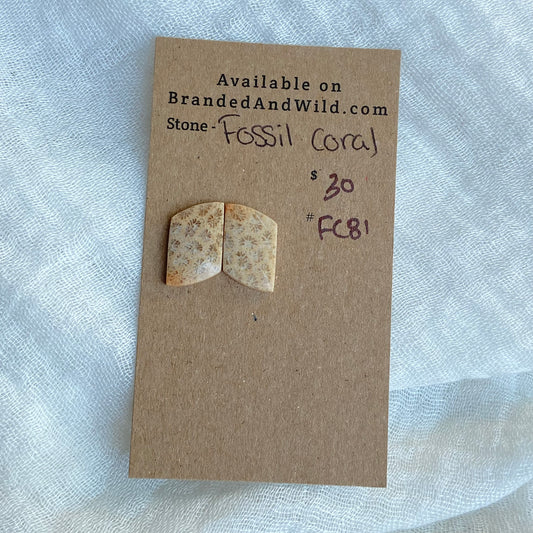 Fossil Coral Cabochon - FC81
