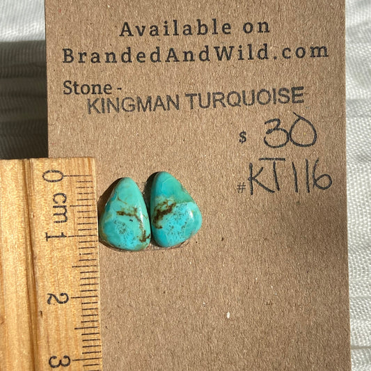 Kingman Turquoise Cabochon - KT116 390871E6-C433-4956-A5CE-80CB032AEE1D Brandedandwild.com