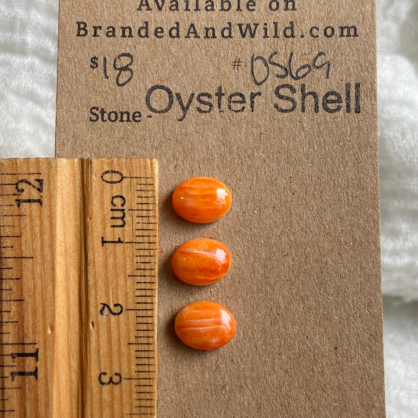 Oyster Shell Cabochon - OS69 3927C079-02BB-413F-BA49-3E6C01370452 Brandedandwild.com