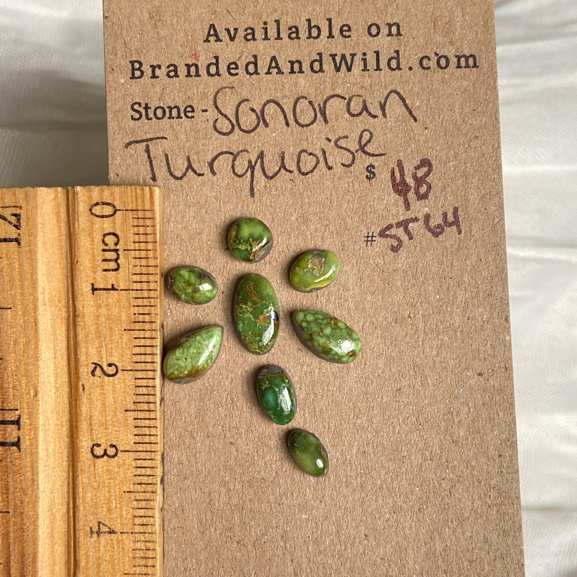 Sonoran Turquoise Cabochon - ST64 393DBA96-EB91-464E-BE00-9D5580C4B294 Brandedandwild.com