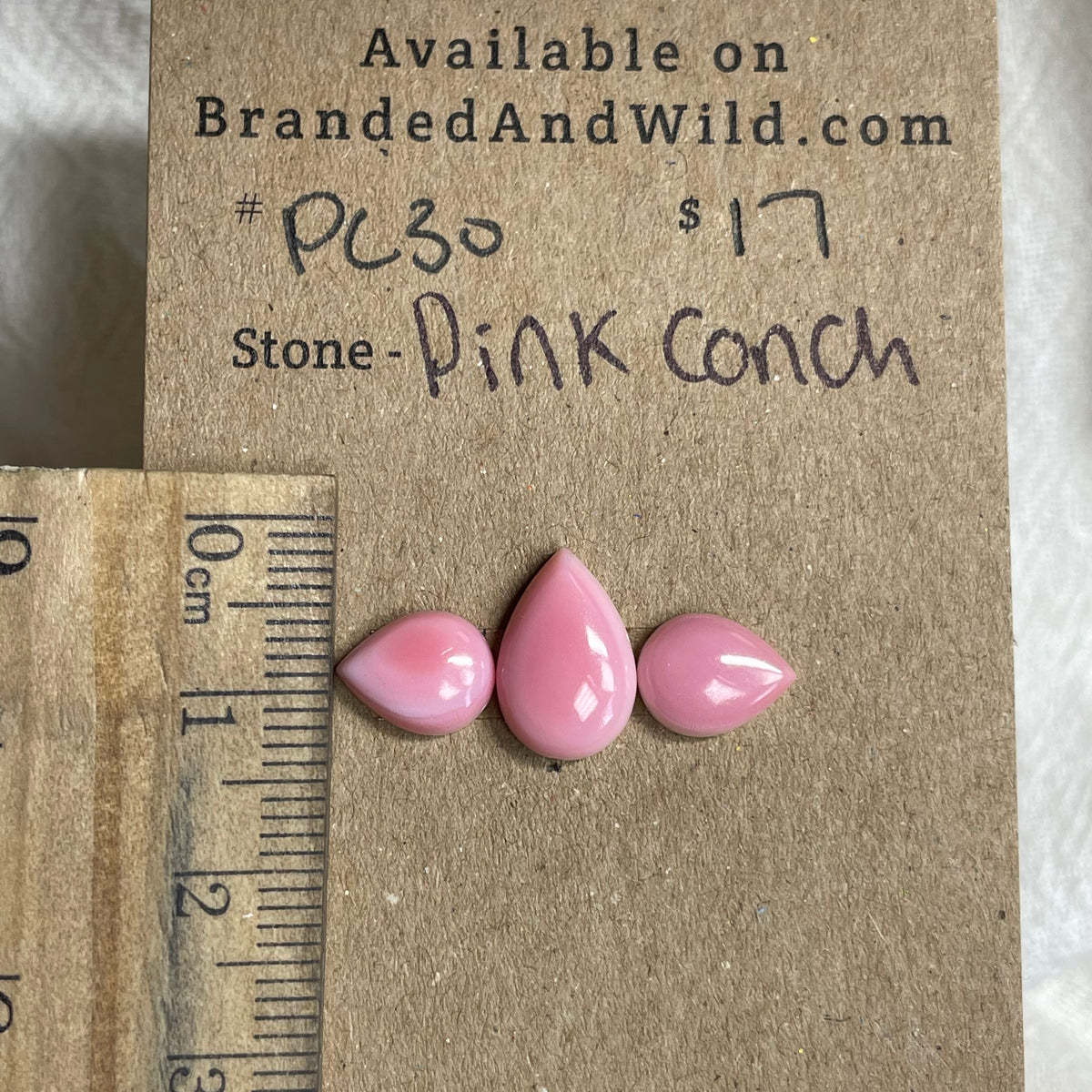 Pink Conch Cabochon - PC30 393EF3D0-6A29-458C-8CBB-E31973572F98 Brandedandwild.com