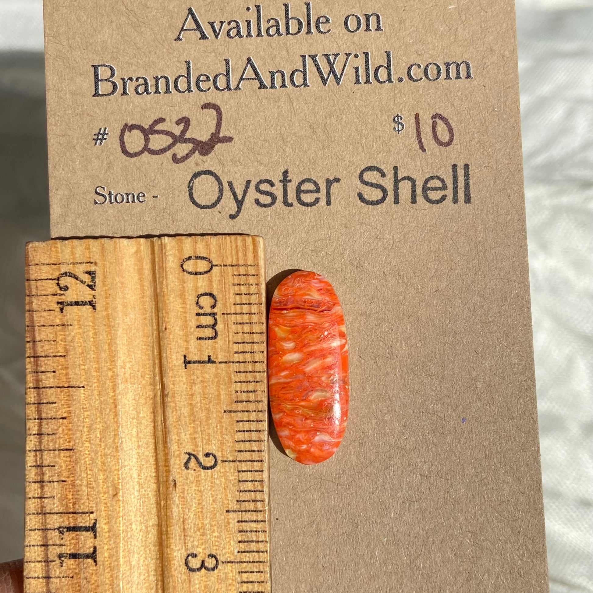 Oystershell Cabochon - OS32 395D6520-7F38-4647-983D-9D0149F79CC7 Brandedandwild.com