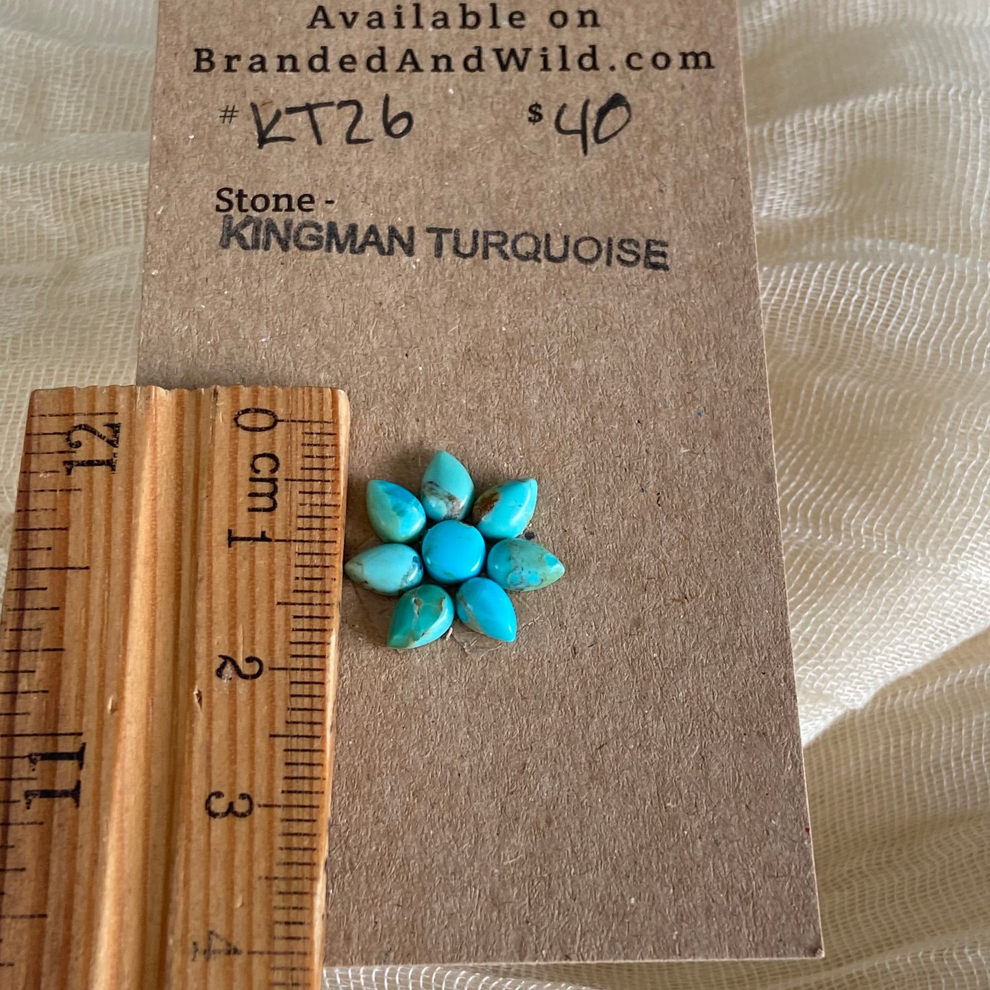 Kingman Turquoise Cabochon - KT26 397FDA6D-47AE-4EFF-9DA8-E97F39625BEB Brandedandwild.com