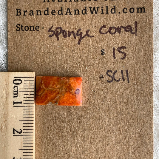 Sponge Coral Cabochon - SC11