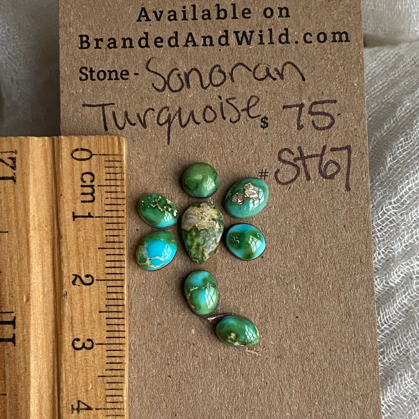 Sonoran Turquoise Cabochon - ST67
