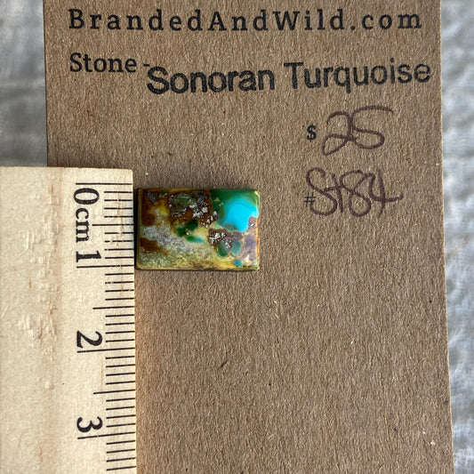 Sonoran Turquoise Cabochon - ST84