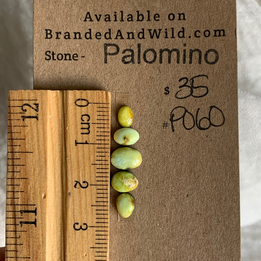 Palomino Cabochon - P060