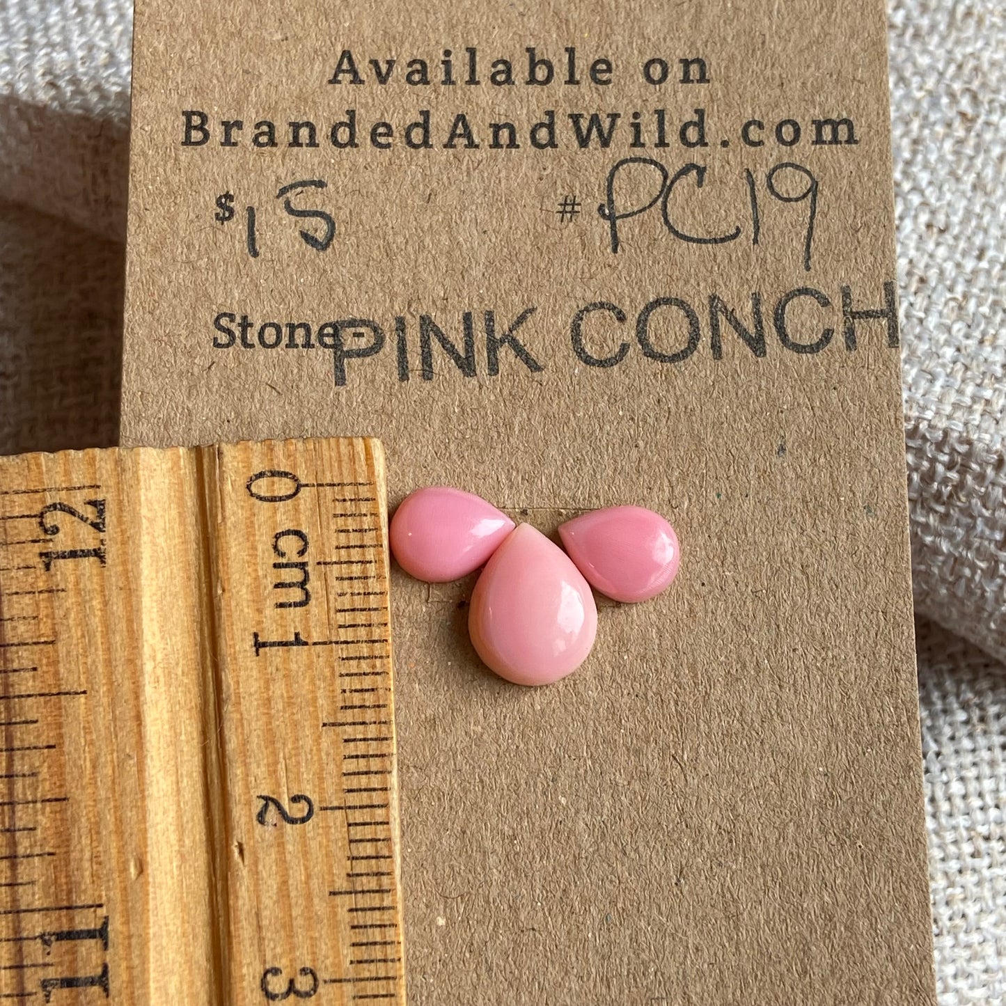 Pink Conch Cabochon - PC19 39D36290-8757-4FB6-8368-E543979992F7 Brandedandwild.com
