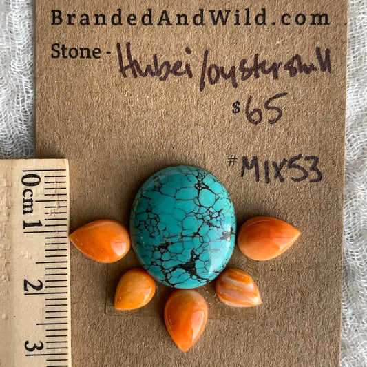 Oystershell - Hubei Turquoise Cabochon - MIX53