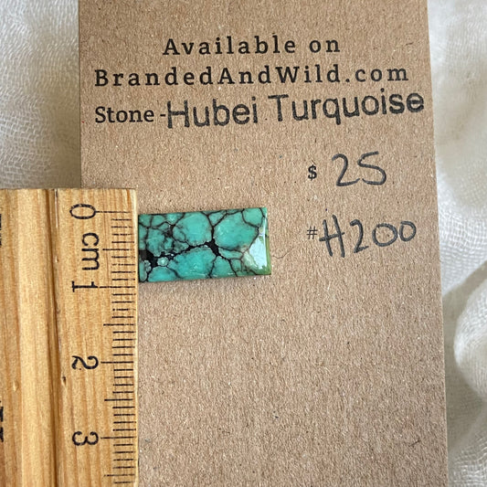 Hubei Turquoise Cabochon - H200 3A0AF155-5C18-44CC-88B8-98CF9BA958E5 Brandedandwild.com