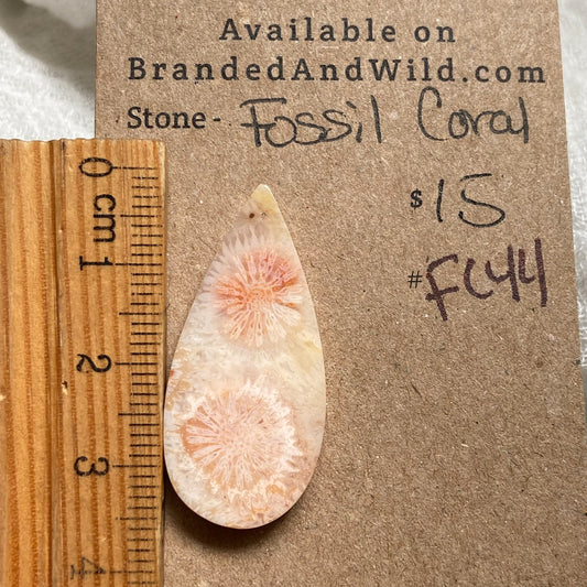 Fossil Coral Cabochon - FC44 3A0FEE35-F192-407F-B63C-7BF3B54046DD Brandedandwild.com