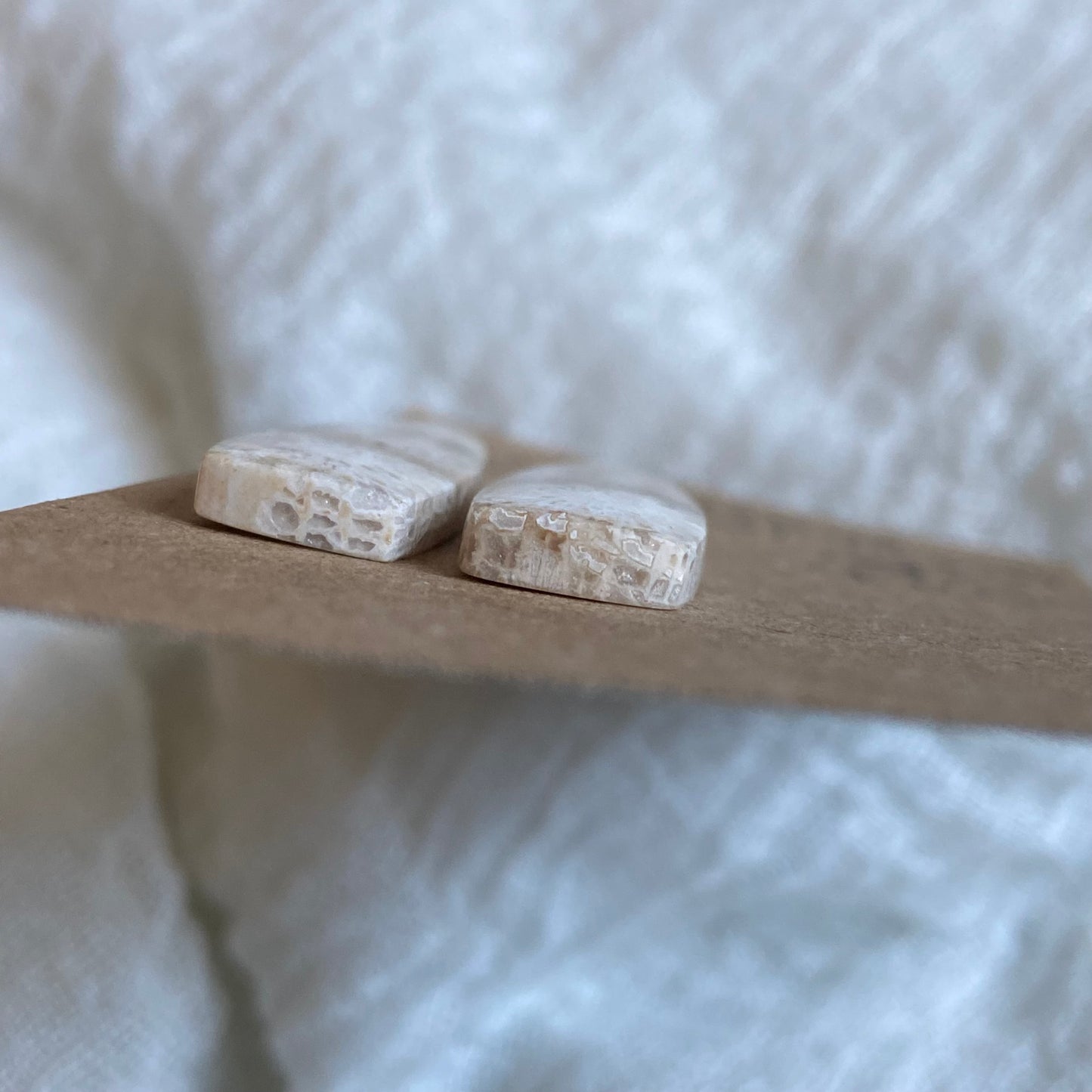 Fossil Coral Cabochon - FC09