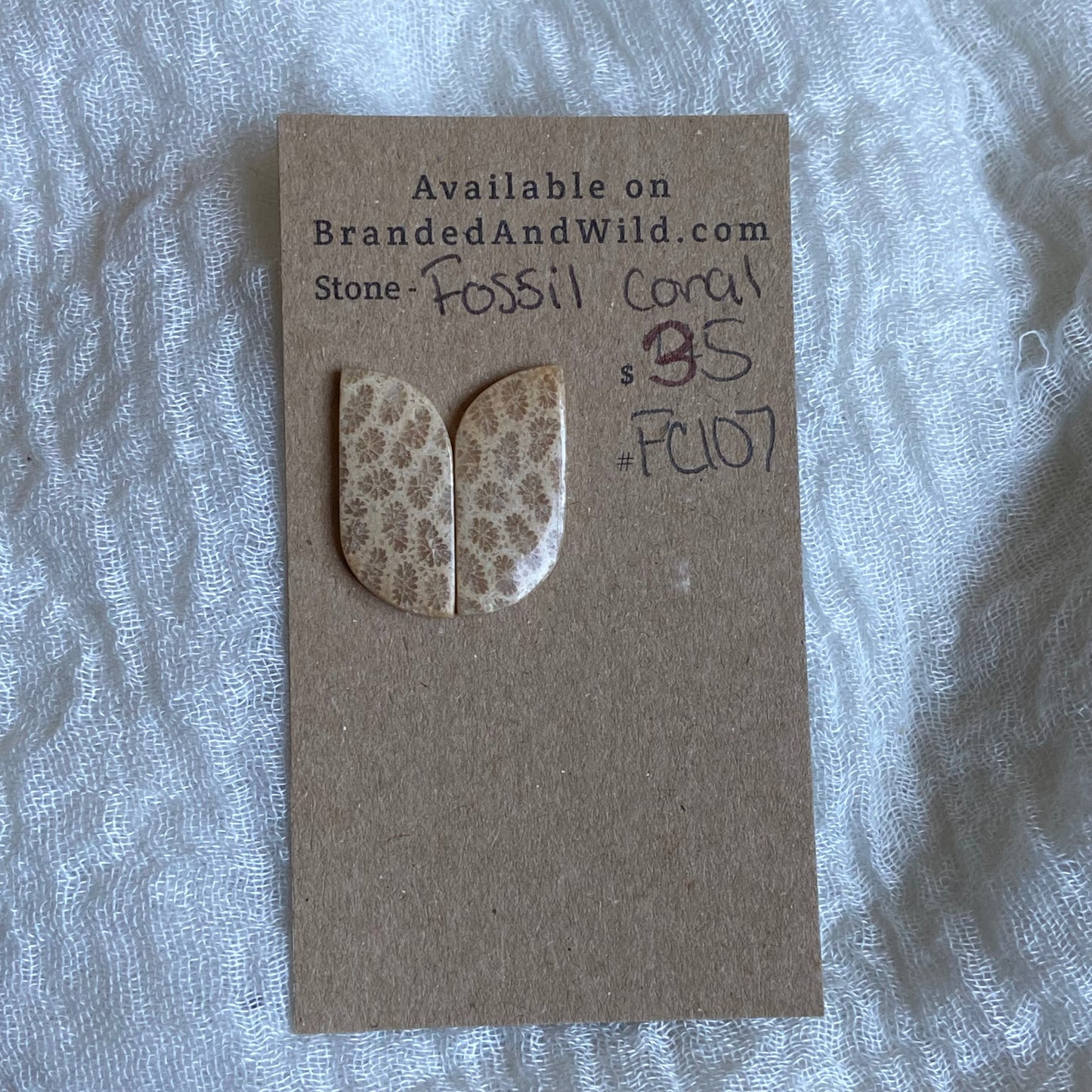Fossil Coral Cabochon - FC107